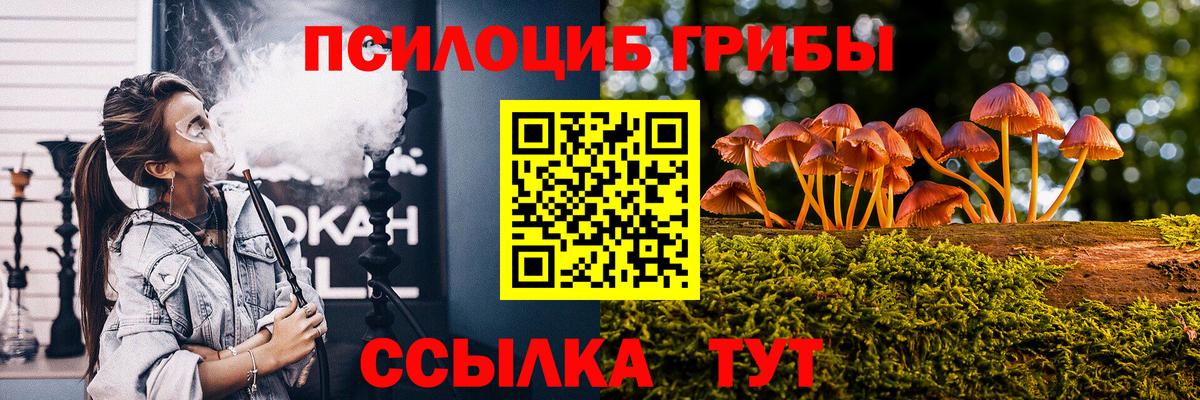 Псилоцибиновые грибы прущие грибы Новоалтайск