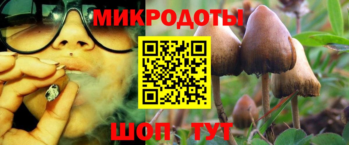 Новоалтайск  Галлюциногенные грибы мухоморы  Псилоцибиновые грибы Psilocybe  Вход с VPN 
